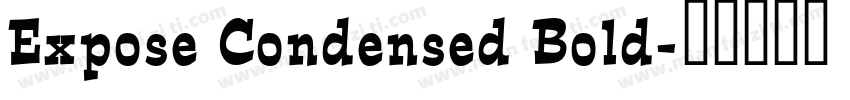 Expose Condensed Bold字体转换